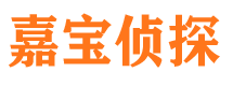 沅江市侦探公司